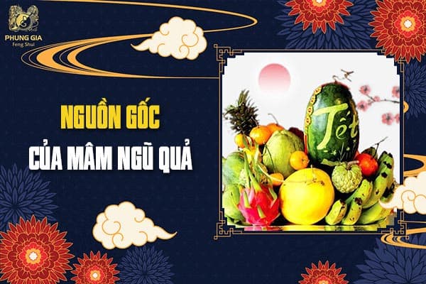 Nguồn Gốc Của Mâm Ngũ Quả