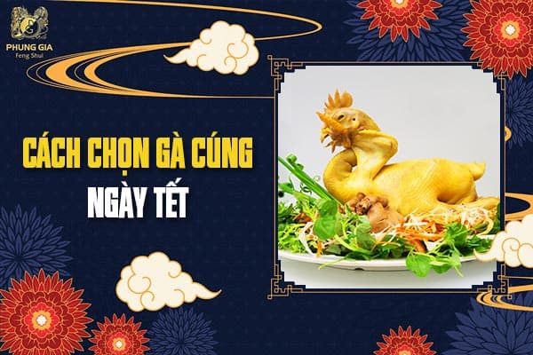 Cách Chọn Gà Cúng Ngày Tết