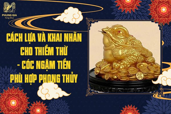 Cách Lựa Và Khai Nhãn Cho Thiềm Thừ – Cóc Ngậm Tiền Phù Hợp Phong Thủy