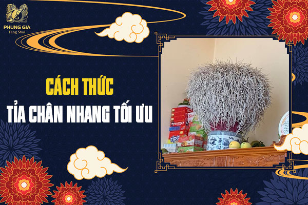 Cách Thức Tỉa Chân Nhang Tối Ưu
