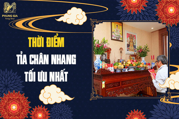 Thời Điểm Tỉa Chân Nhang Tối Ưu Nhất