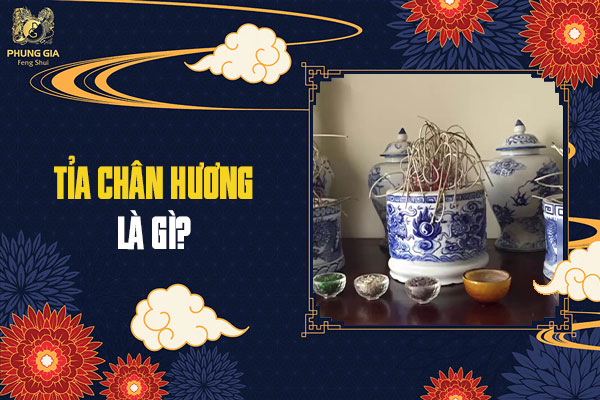 Tỉa Chân Hương Là Gì?