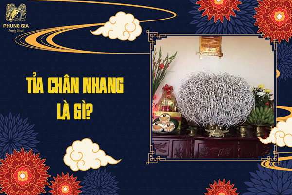 Tỉa Chân Nhang Là Gì