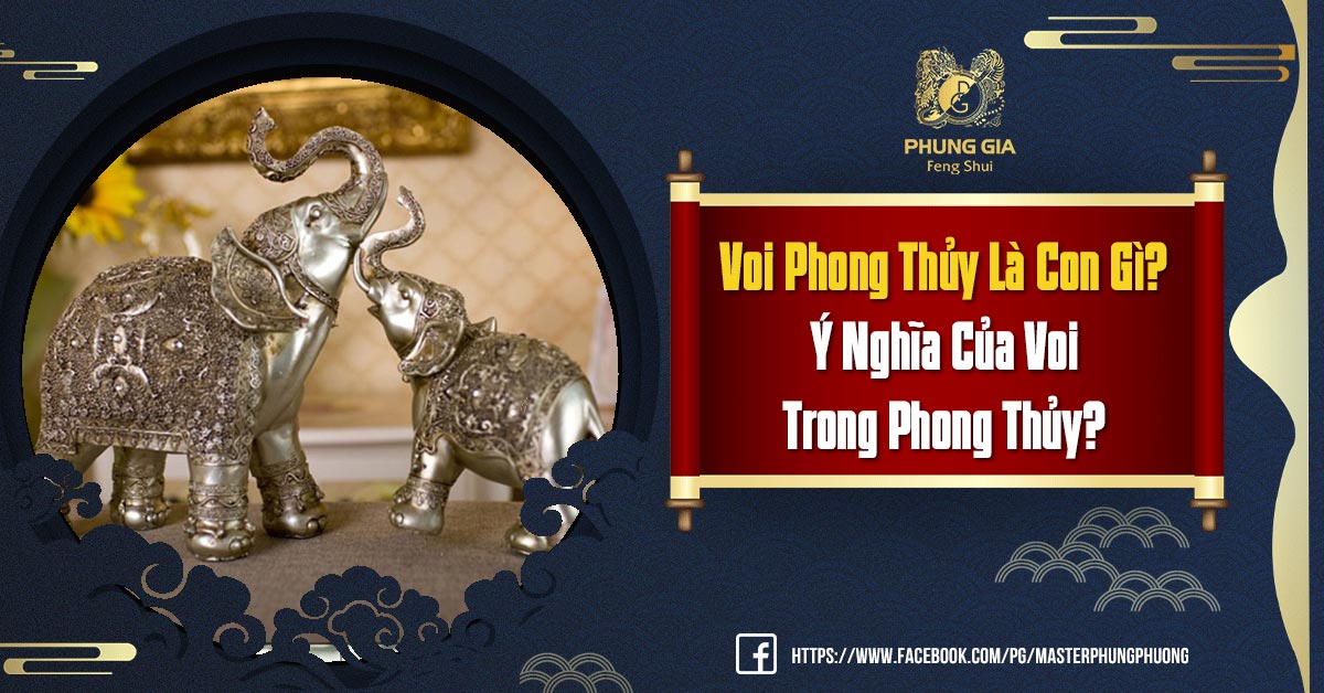 Voi Phong Thủy Là Con Gì Ý Nghĩa Của Voi Trong Phong Thủy