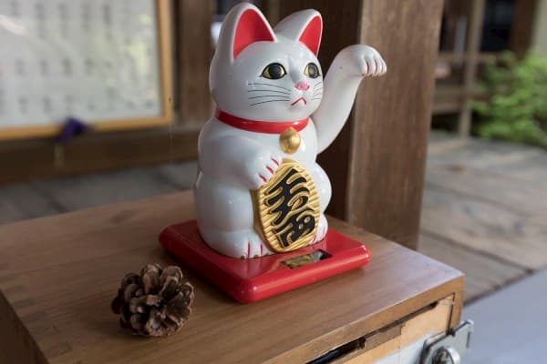 Mèo Phong Thủy Là Gì? Ý Nghĩa Của Mèo Trong Phong Thủy?