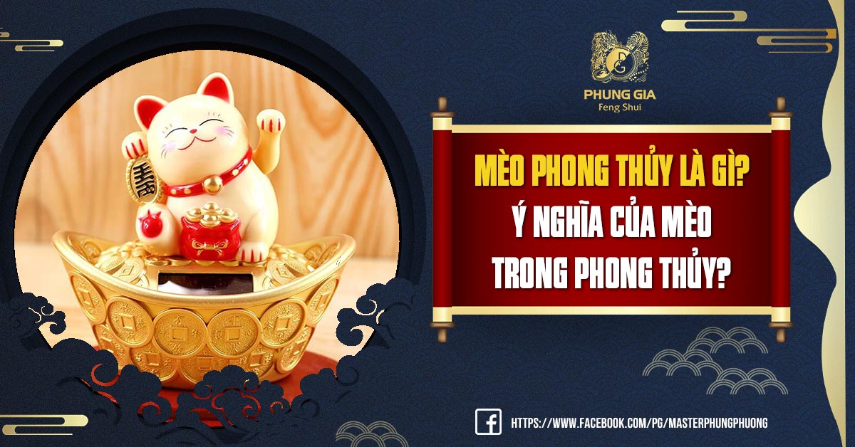 Mèo Phong Thủy Là Gì? Ý Nghĩa Của Mèo Trong Phong Thủy?