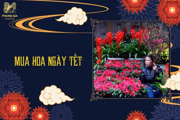Mua Hoa Ngày Tết