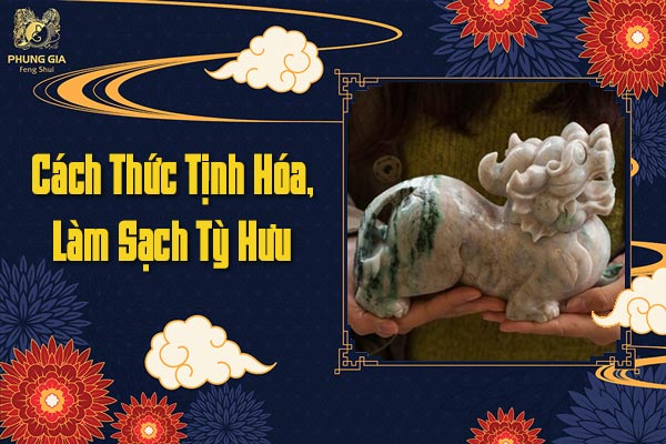 Cách Thức Tịnh Hóa, Làm Sạch Tỳ Hưu