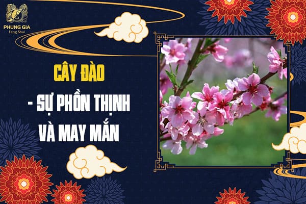 Cây Đào - Sự Phồn Thịnh Và May Mắn