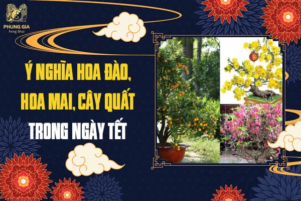 Ý Nghĩa Hoa Đào, Hoa Mai, Cây Quất Trong Ngày Tết
