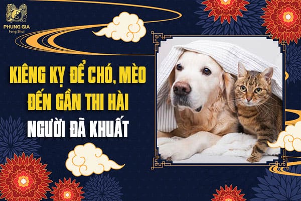 Kiêng Kỵ Để Chó, Mèo Đến Gần Thi Hài Người Đã Khuất