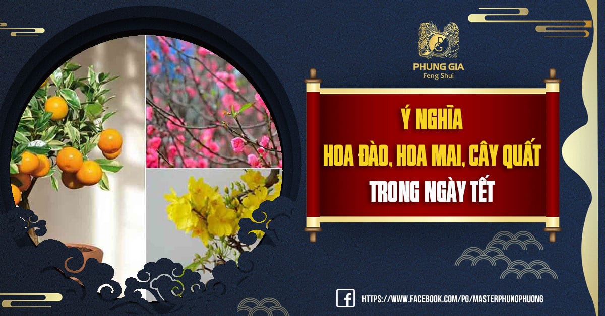 Ý Nghĩa Hoa Đào Hoa Mai Cây Quất Trong Ngày Tết
