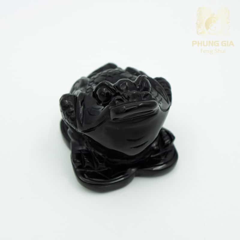 Thiềm Thừ Trợ Mệnh Thủy
