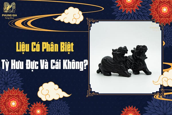 Liệu Có Phân Biệt Tỳ Hưu Đực Và Cái Không?