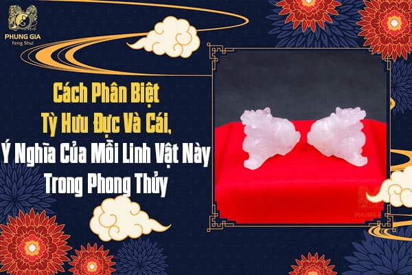 Cách Phân Biệt Tỳ Hưu Đực Và Cái, Ý Nghĩa Của Mỗi Linh Vật Này Trong Phong Thủy