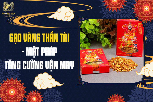 Giá Gạo Vàng Thần Tài Bao Nhiêu Và Mua Ở Đâu Thì Tốt Nhất?