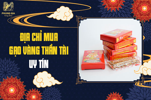 Giá Gạo Vàng Thần Tài Bao Nhiêu Và Mua Ở Đâu Thì Tốt Nhất?