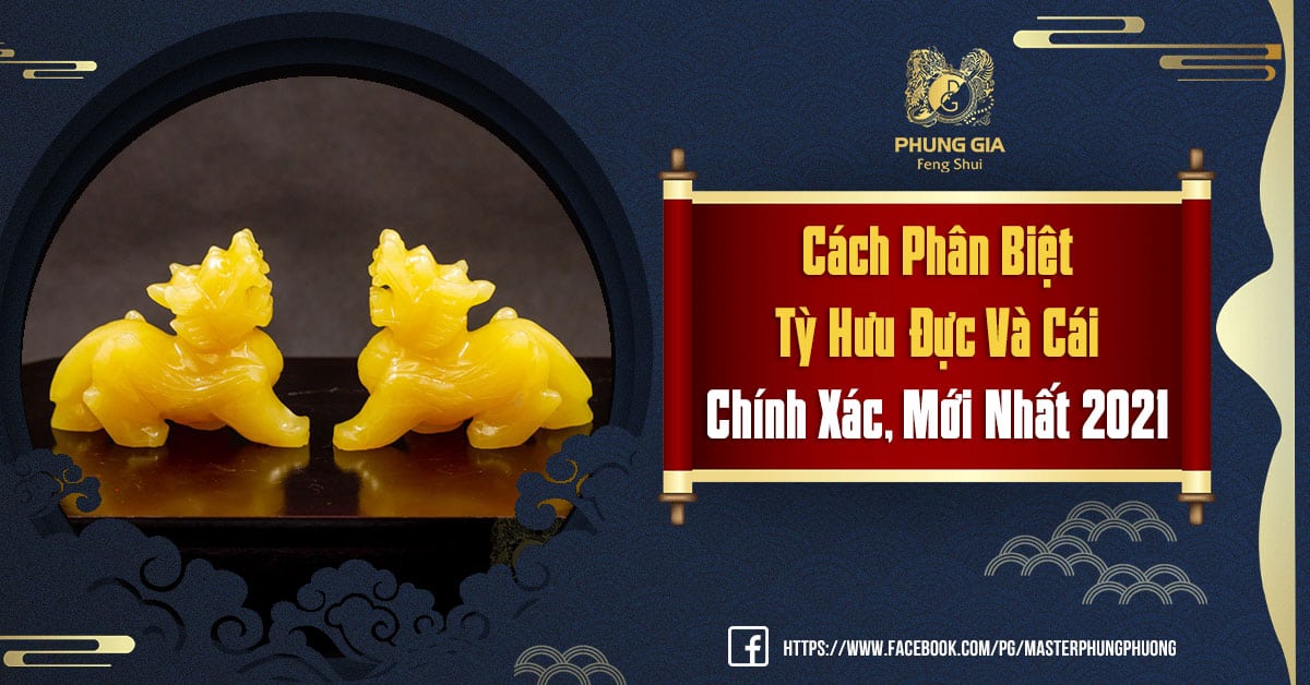 Cách Phân Biệt Tỳ Hưu Đực Và Cái Chính Xác, Mới Nhất 2021