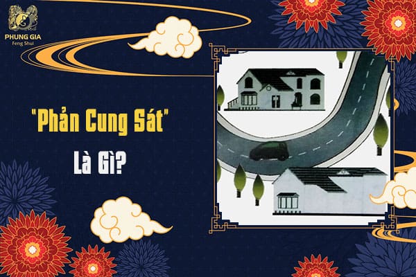 “Phản Cung Sát” Là Gì?