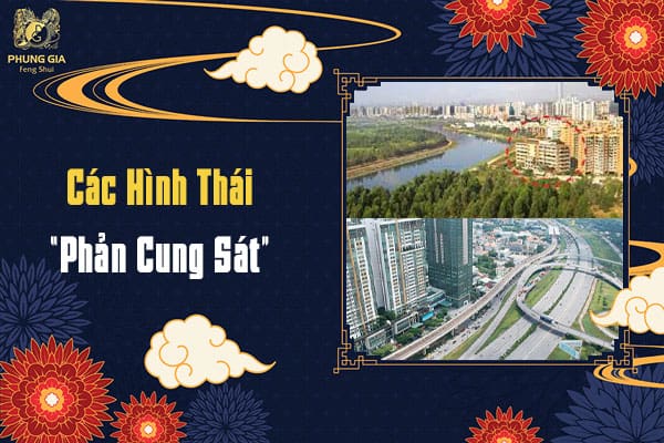 Các Hình Thái “Phản Cung Sát”