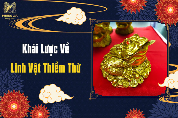 Nên Hay Không Đặt Thiềm Thừ Trong Két Sắt?