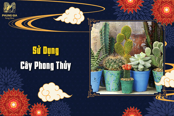 Mẹo Hóa Giải Thị Phi Như Thế Nào?