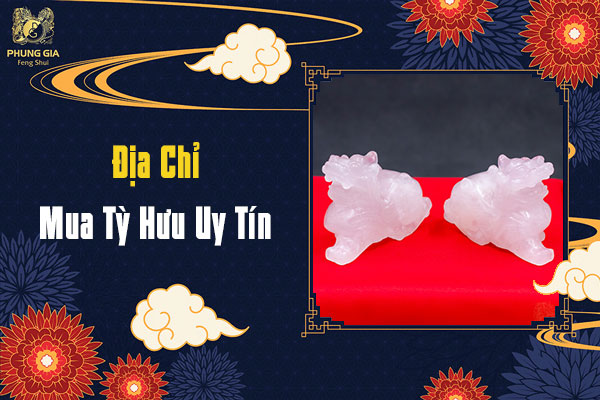 Mua Tỳ Hưu Ở Đâu Và Giá Bao Nhiêu Tiền?