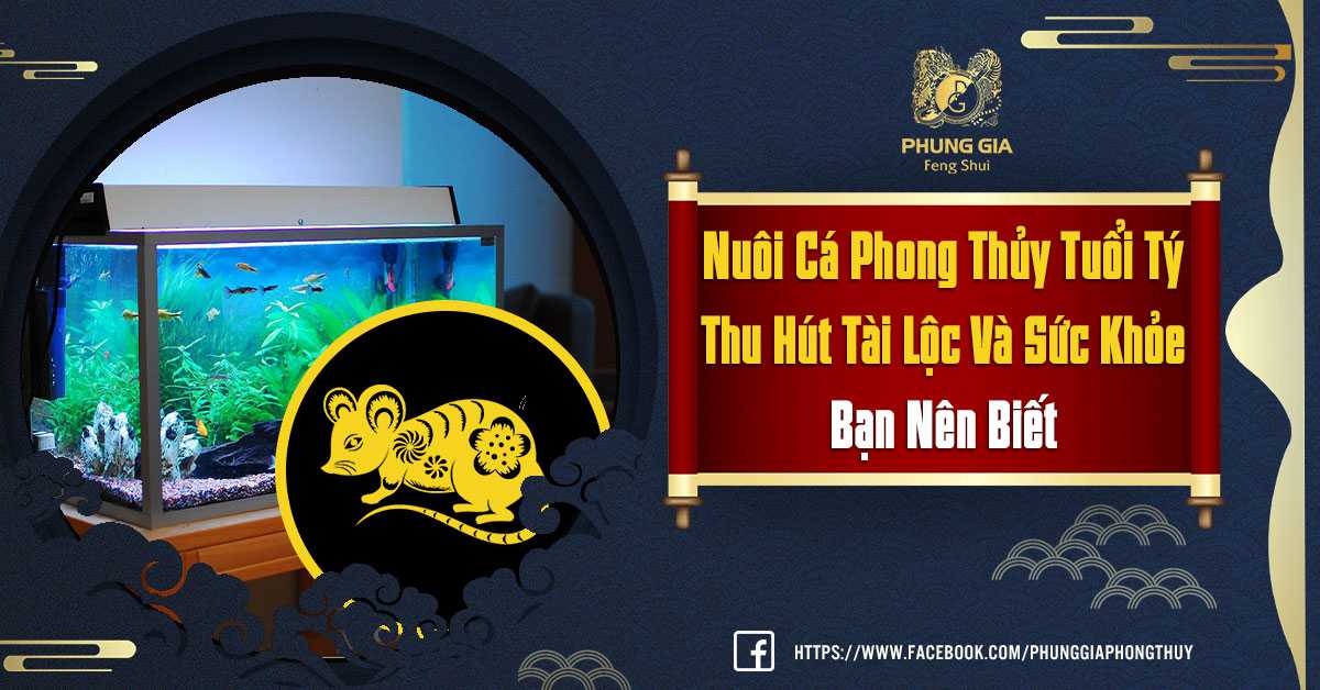 Nuôi Cá Phong Thủy Cho Người Tuổi Tý