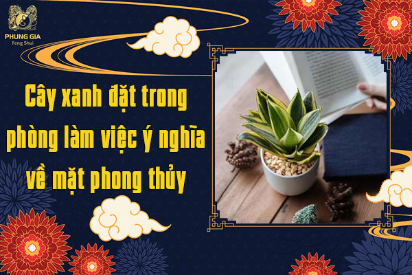 Cây Xanh Đặt Trong Phòng Làm Việc 