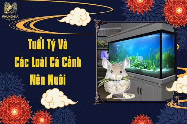 Những Loại Cá Cảnh Nên Nuôi