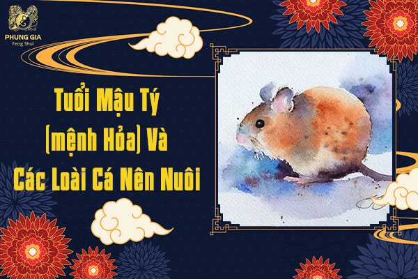 Tuổi Mậu Tý Và Các Loại Cá Cảnh Nên Nuôi