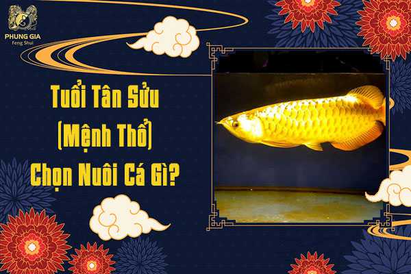 Tuổi Tân Sửu Chọn Nuôi Cá Gì