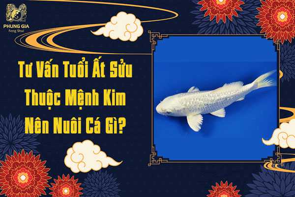Tuổi Ất Sửu Nên Nuôi Cá Gì