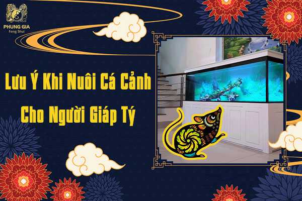 Lưu Ý Nuôi Cá Cảnh Cho Người Tuổi Giáp Tý 