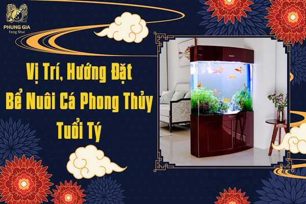 Vị Trí, Hướng Đặt Bế Cá Phong Thủy Tuổi Tý