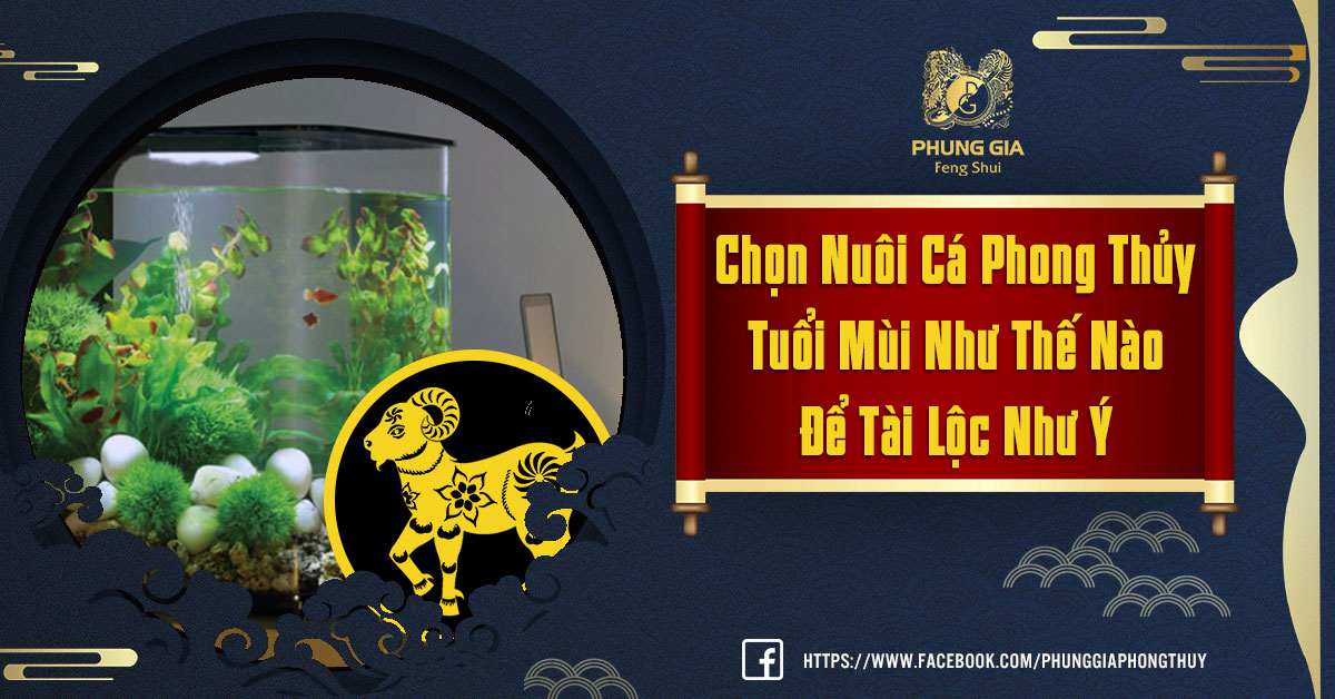 Chọn Nuôi Cá Tuổi Mùi Để Hút Tài Lộc