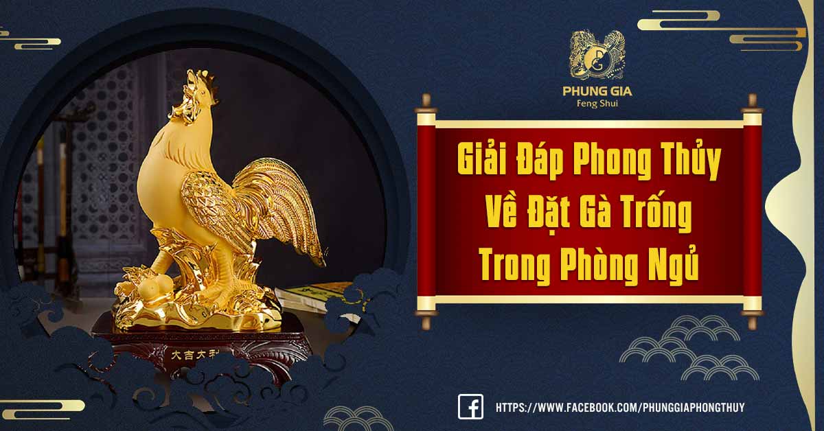 Giải Đáp Phong Thủy Về Đặt Gà Trống Trong Phòng Ngủ
