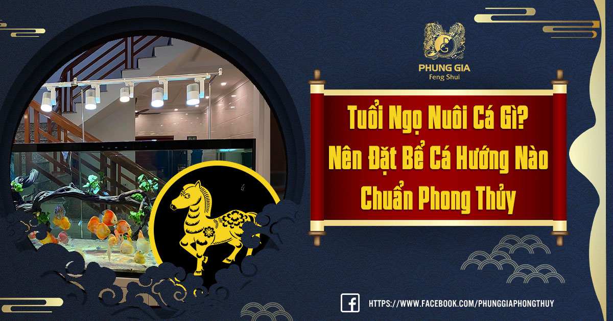 Tuổi Ngọ Cá Gì Và Nên Đặt Bể Cá Tại Đâu