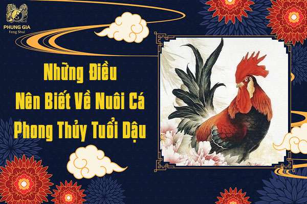 Những Điều Nên Biết Về Nuôi Cá Cảnh Phong Thủy Tuổi Dậu