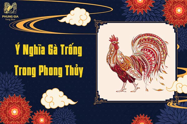 Ý Nghĩa Gà Trong Phong Thủy