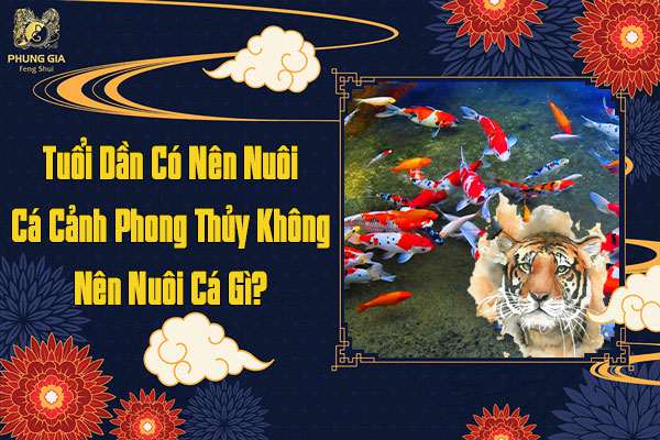 Tuổi Dần Có Nên Nuôi Cá Cảnh Phong Thủy Không Nên Nuôi Cá Gì
