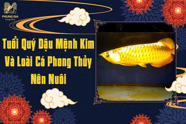 Tuổi Quý Dậu Mệnh Kim Nuôi Cá Gì