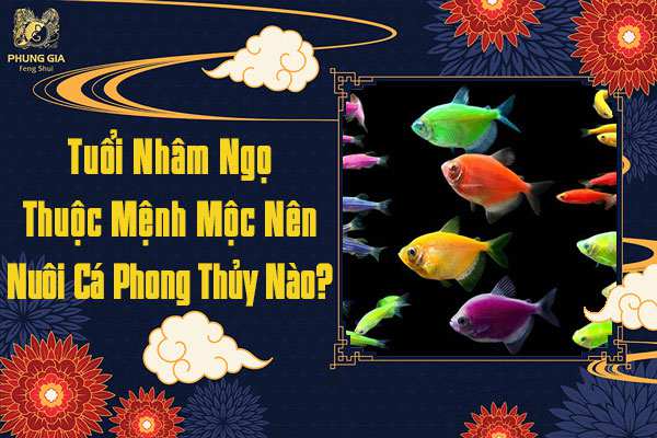 Tuổi Nhâm Ngọ Nuôi Cá Mệnh Gì