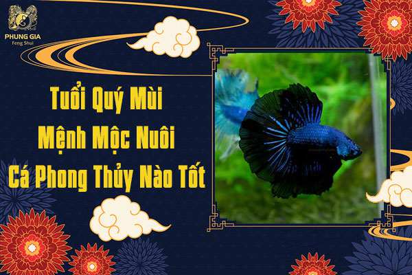 Tuổi Quý Mùi Mệnh Mộc Nuôi Cá Phong Thủy Nào Tốt
