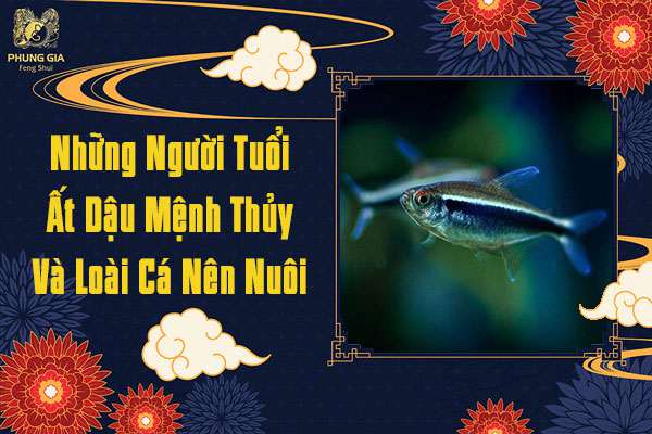 Nuôi Cá Cho Người Tuổi Ất Dậu Mệnh Thủy