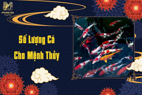 Số Lượng Cá Koi Cho Mệnh Thủy