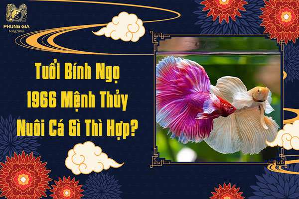 Bính Ngọ Nuôi Cá Gì