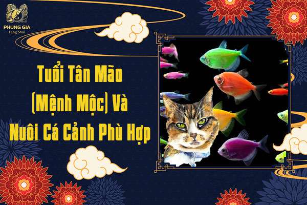 Tuổi Tân Mão Nuôi Cá Gì