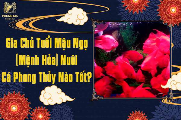 Mậu Ngọ Nuôi Cá Phong Thủy Nào Tốt