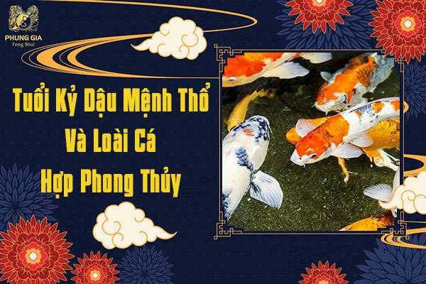 Tuổi Kỷ Dậu Mệnh Thổ Nuôi Cá Gì